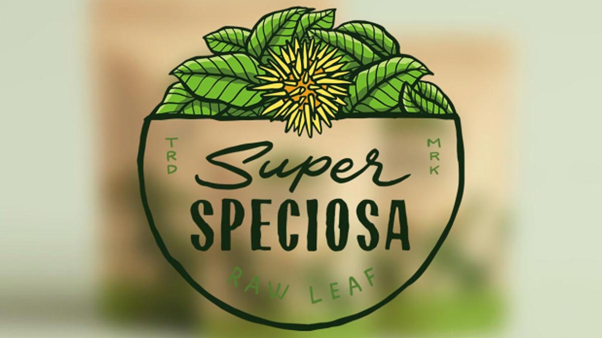 Exploring Super Speciosa
