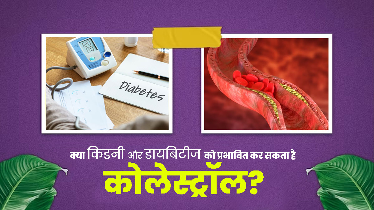हाई कोलेस्ट्रॉल स्तर डायबिटीज और किडनी रोगियों की सेहत को कैसे प्रभावित करता है? एक्सपर्ट से जानें