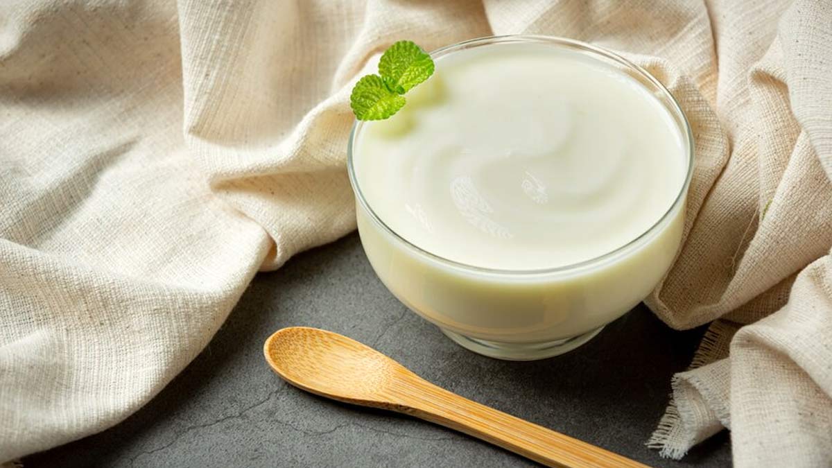 Can You Consume Curd In Winter? Here's What Expert Has To Say