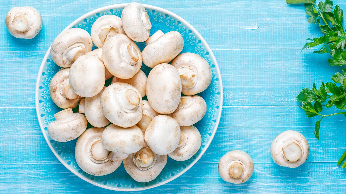 Why Cancer Patients Should Add Mushrooms To Their Diet