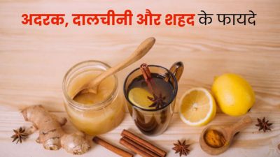 अदरक दालचीनी और शहद एक साथ खाने से शरीर को मिलते हैं जबरदस्त फायदे, जानें तरीका