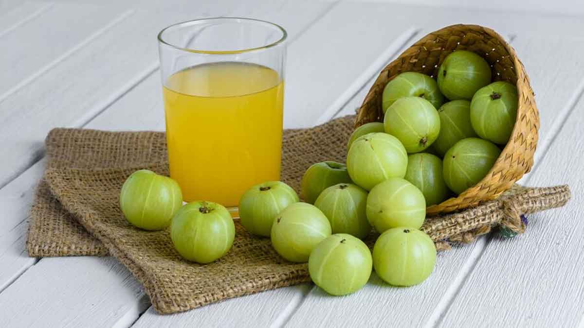 Ayurvedic Herbs That May Help Treat Alopecia