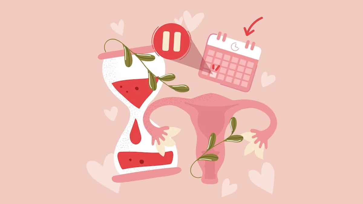 Menstrual Cycle