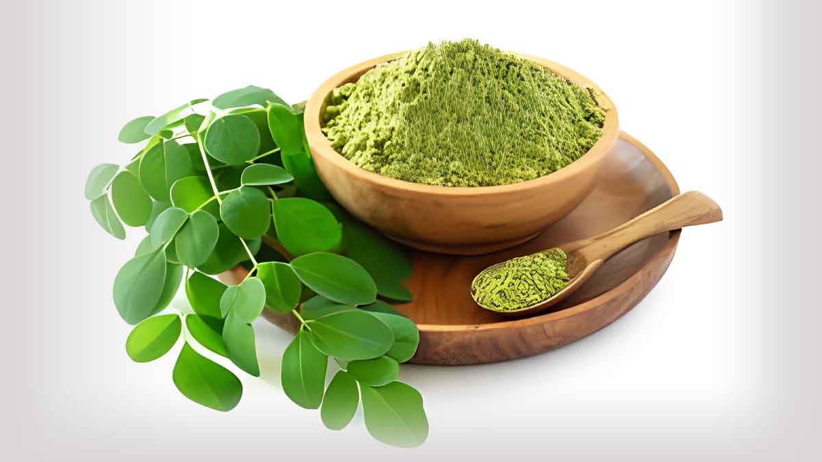 Moringa Leaves: Expert Lists Its Benefits And How To Consume It
