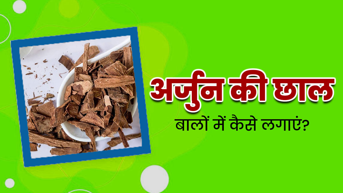 बालों पर अर्जुन की छाल कैसे लगाएं? जानें 4 तरीके, जिनसे दूर होंगी बालों की समस्याएं
