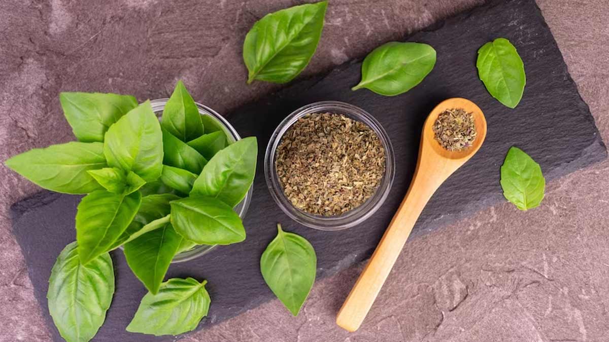 Here s Why You Should Ditch Store Bought Oregano And Make It At