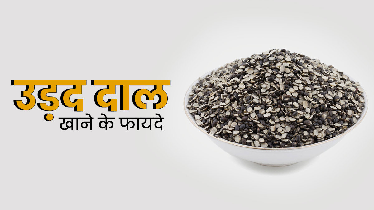 सर्दियों में जरूर खाएं काली उड़द की दाल, सेहत को मिलेंगे ये 5 फायदे