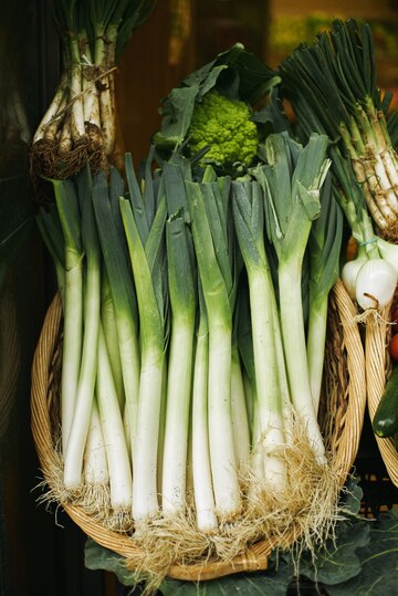Health Benefits and Ways to Incorporate Leek into Your Diet