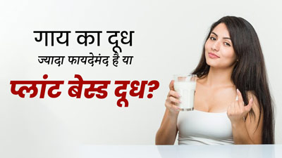 Cow Milk Vs Plant Milk: क्या प्लांट बेस्ड दूध गाय के दूध से ज्यादा फायदेमंद होता है? जानें एक्सपर्ट से