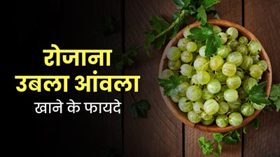 रोजाना उबला हुआ आंवला खाने से सेहत को मिलते हैं कई फायदे, एक्सपर्ट से जानें सेवन का तरीका 