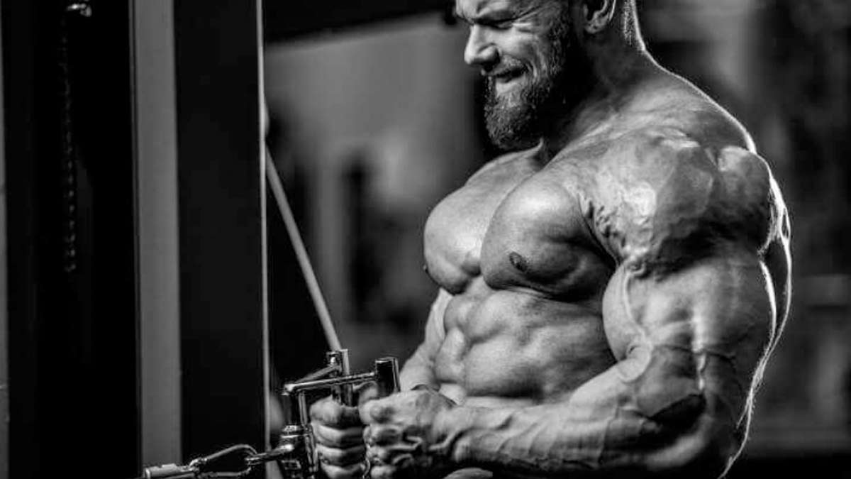 Best SARMs For Bulking & Cutting, Safest Sarms Stack For Muscle Growth and weight loss