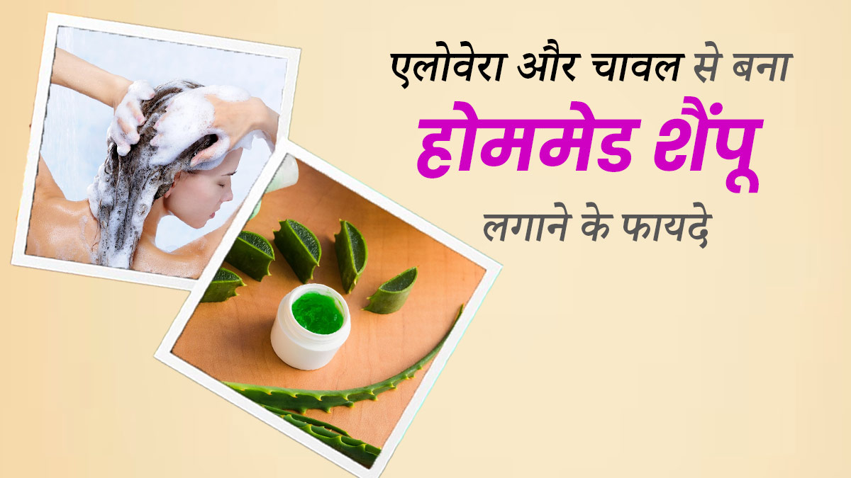 बालों पर लगाएं एलोवेरा और चावल से बना होममेड शैंपू, बाल बनेंगे मजबूत और मुलायम