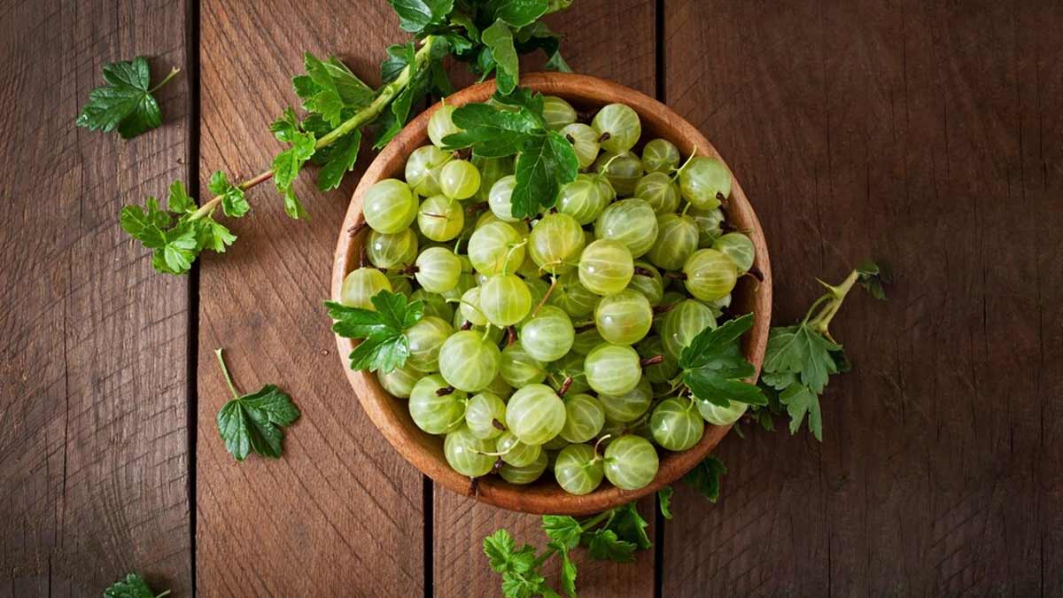 Amla For Diabetics: Expert Lists Its Benefits And Dos And Don'ts For Consumption