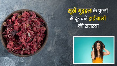 ड्राई बालों की समस्या कम कर सकते हैं सूखे गुड़हल के फूल, जानें इस्तेमाल का तरीका
