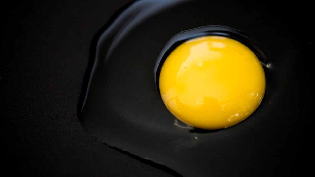 Are Egg Yolks Safe For People With Fatty Liver Disease? Here’s The Breakdown