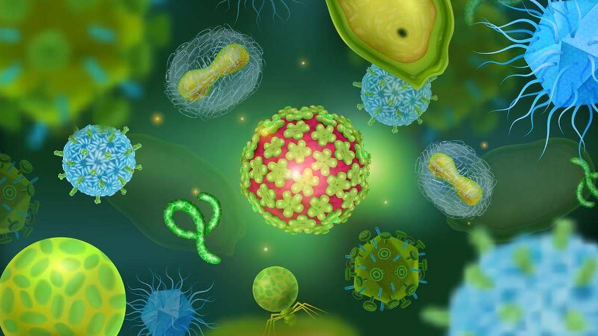 WHO Panel To Debate On Deadly Disease X: Here Are Some Viruses That May Cause The Next Pandemic