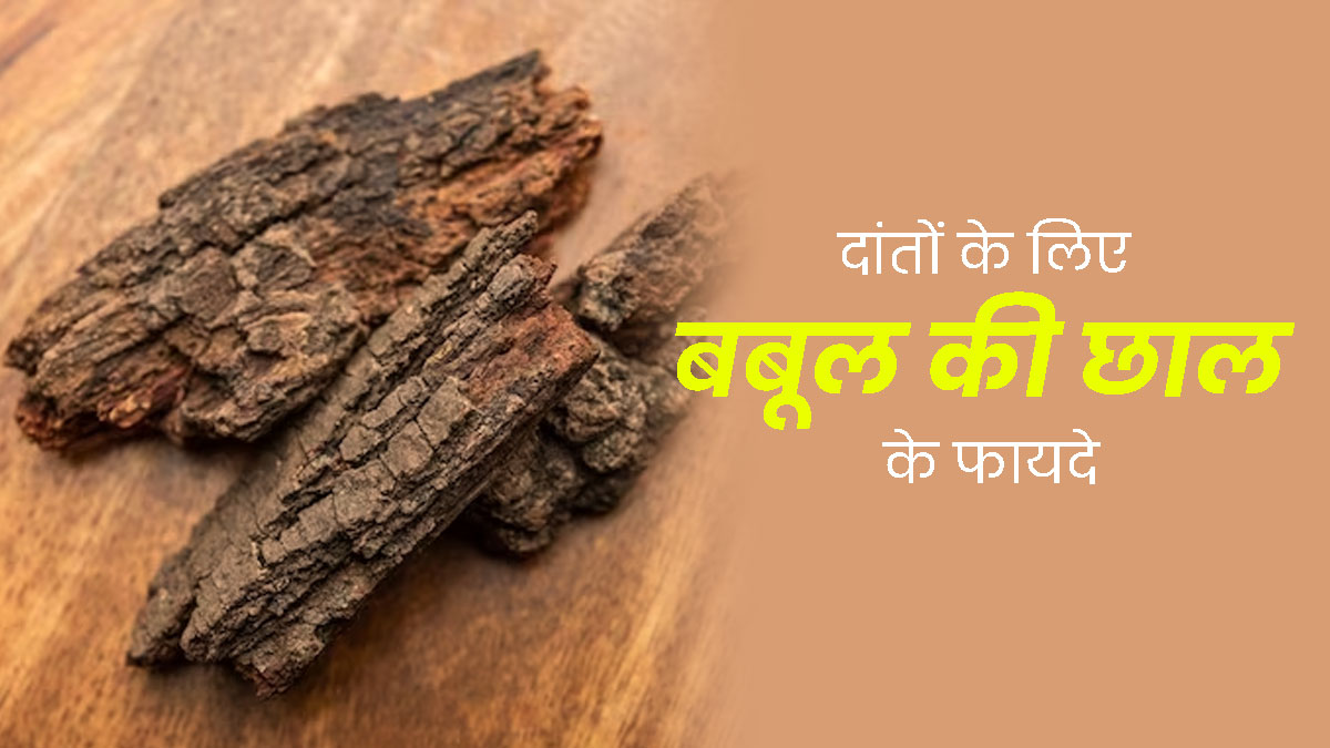 दांतों के लिए फायदेमंद है बबूल की छाल, जानें इस्तेमाल का तरीका और फायदे