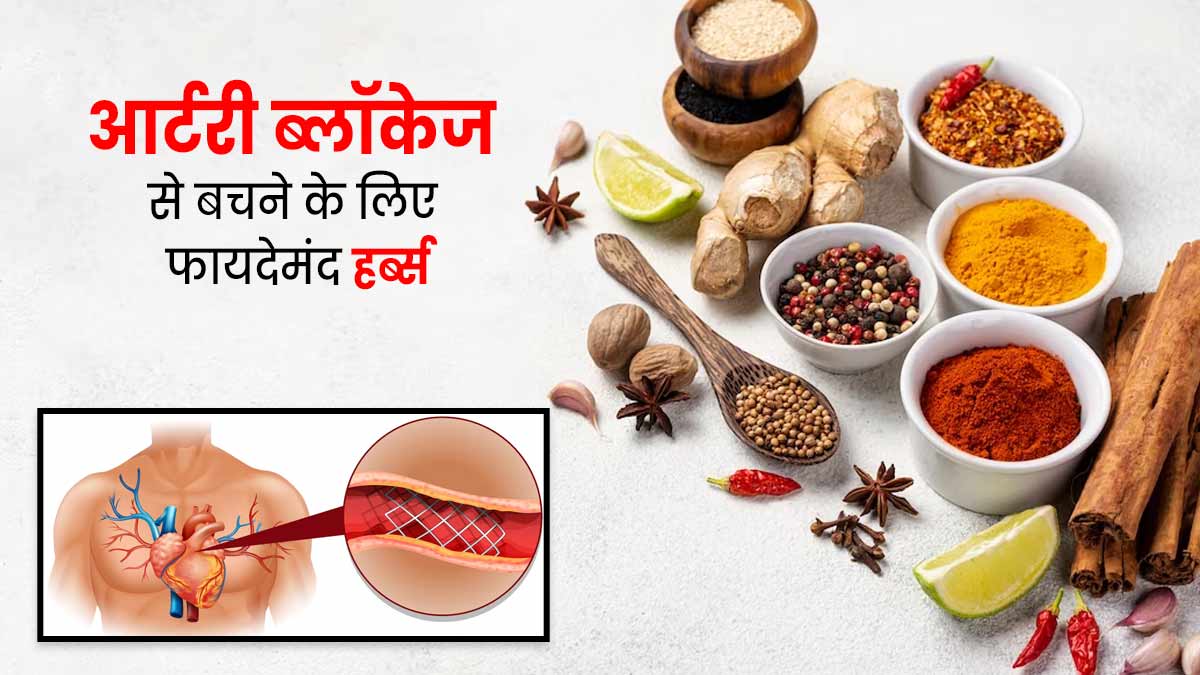 आर्टरी ब्लॉकेज से बचने के लिए करें इन हर्ब्स का सेवन, हार्ट की बीमारी का कम होगा खतरा