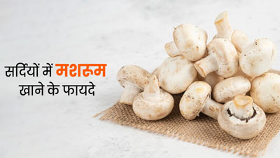 सर्दियों की डाइट में शामिल करें मशरूम, शरीर को मिलेंगे ये 5 जबरदस्त फायदे 