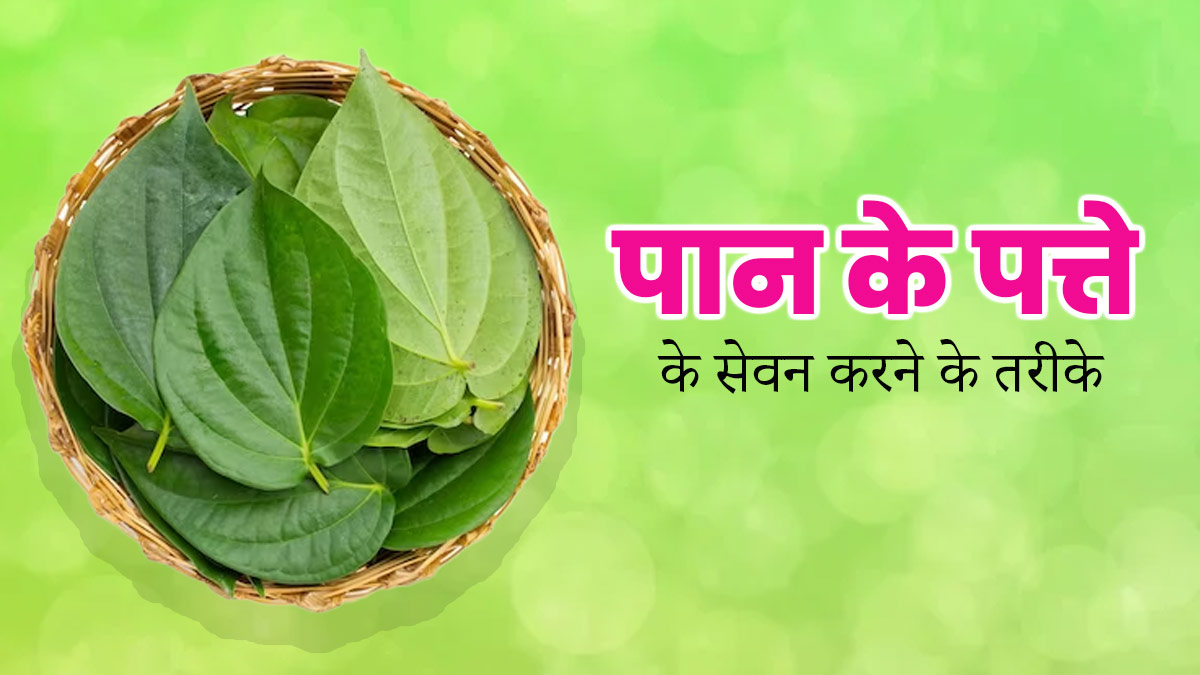 पान के पत्तों को इन 6 तरीकों से करें डाइट में शामिल, मिलेंगे कई जबरदस्त फायदे