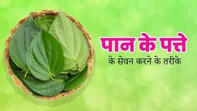 पान के पत्तों को इन 6 तरीकों से करें डाइट में शामिल, मिलेंगे कई जबरदस्त फायदे