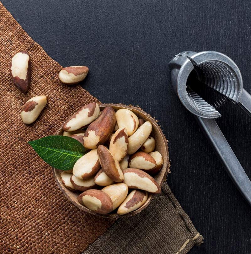 razil Nuts Benefits For Female Fertility In Hindi