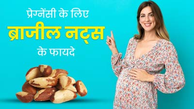 प्रेग्नेंसी कर रहीं हैं प्लान तो डाइट में शामिल करें ब्राजील नट्स, जानें प्रजनन क्षमता बढ़ाने के लिए इसके फायद