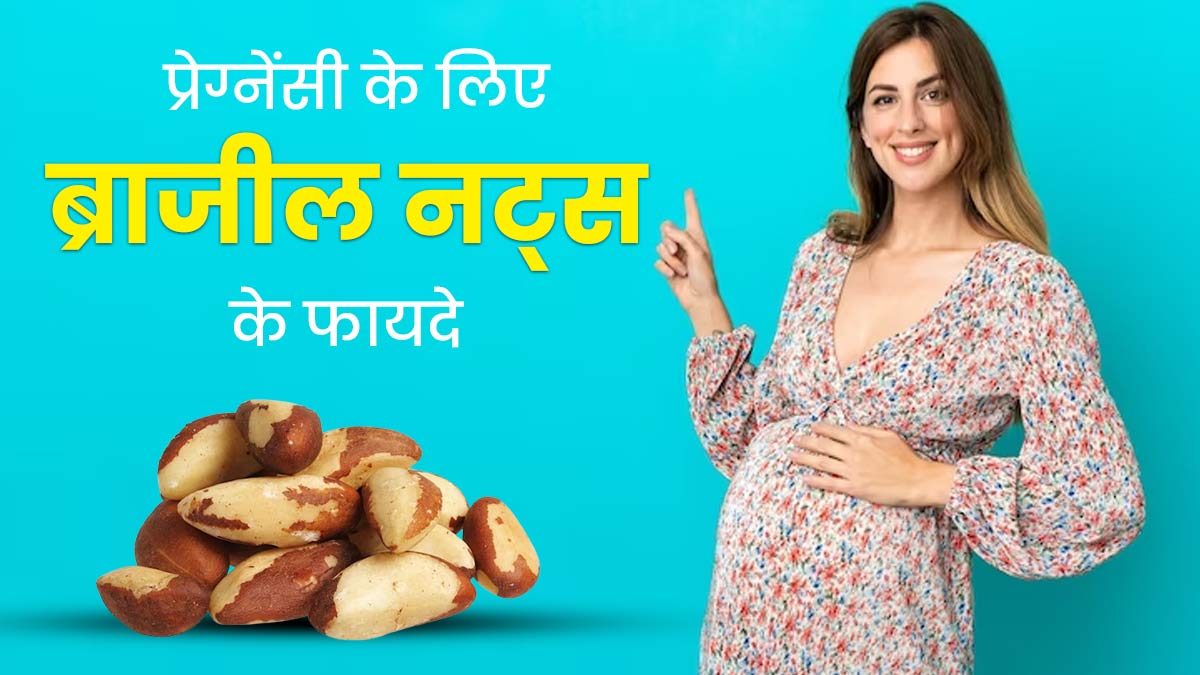 प्रेग्नेंसी कर रहीं हैं प्लान तो डाइट में शामिल करें ब्राजील नट्स, जानें प्रजनन क्षमता बढ़ाने के लिए इसके फायद