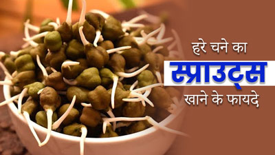 सर्दियों में जरूर खाएं हरे चने का स्प्राउट्स, सेहत को मिलेंगे ये 5 फायदे