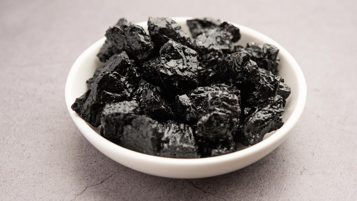 Do You Consume Shilajit? Expert Lists Foods You Should Avoid When Consuming It