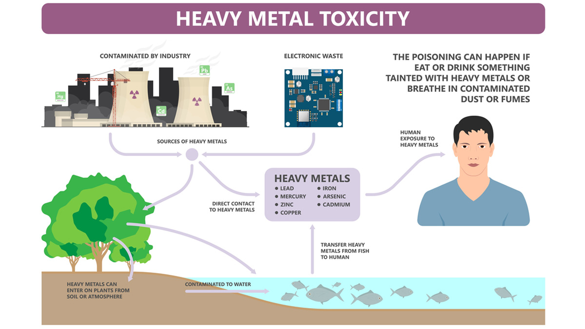 Symptoms Of Heavy Metal Toxicity In Body In Hindi