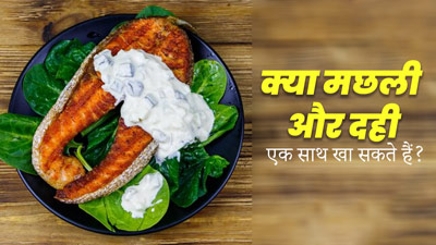 क्या मछली और दही का सेवन एक साथ किया जा सकता है? जानें एक्सपर्ट की राय
