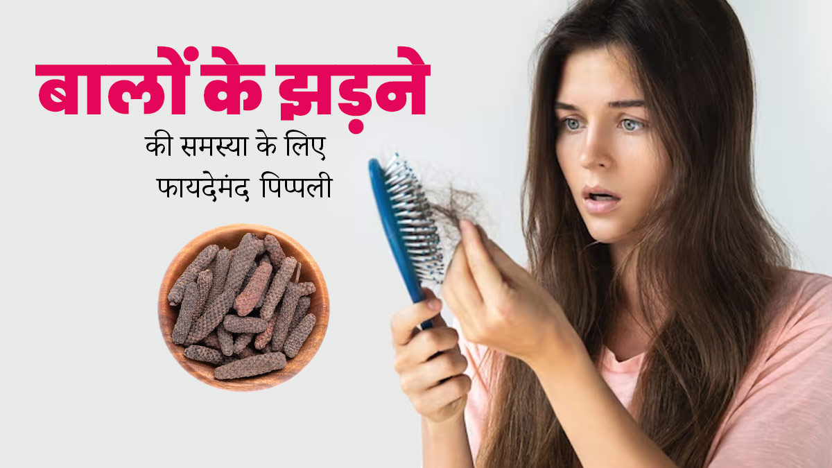 बालों का झड़ना रोकने में मदद करेगी पिप्पली, इस तरह से करें इस्तेमाल