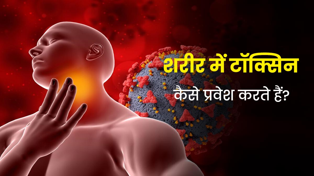 शरीर के भीतर टॉक्सिन कैसे प्रवेश करते हैं? एक्सपर्ट से जानें कैसे जमा होते हैं ये जहरीले पदार्थ
