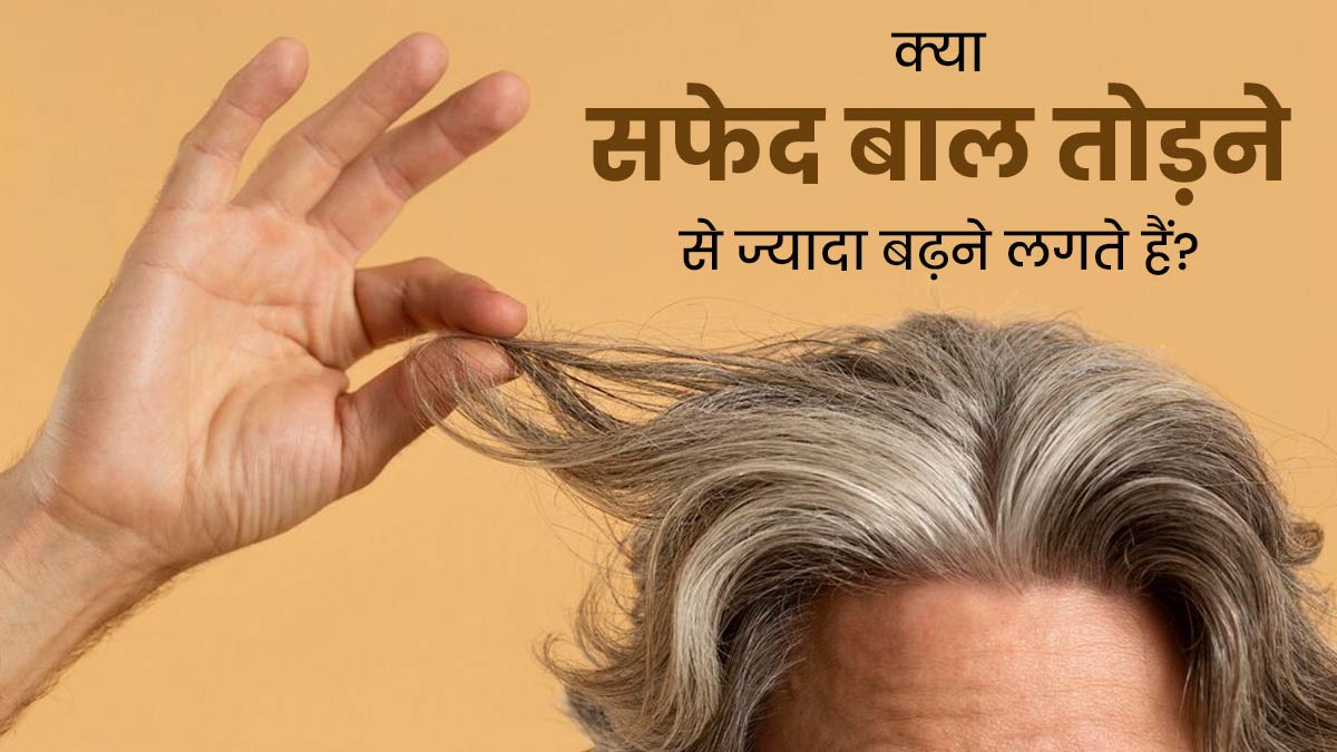 Grey Hair: क्या सफेद बाल तोड़ने से बढ़ जाती है व्हाइट हेयर की समस्या? एक्सपर्ट से जानें सच्चाई