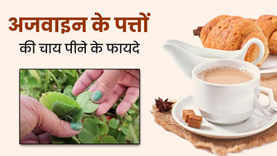 सर्दियों में पिएं अजवाइन के पत्तों की चाय, सेहत को मिलेंगे ये 5 फायदे
