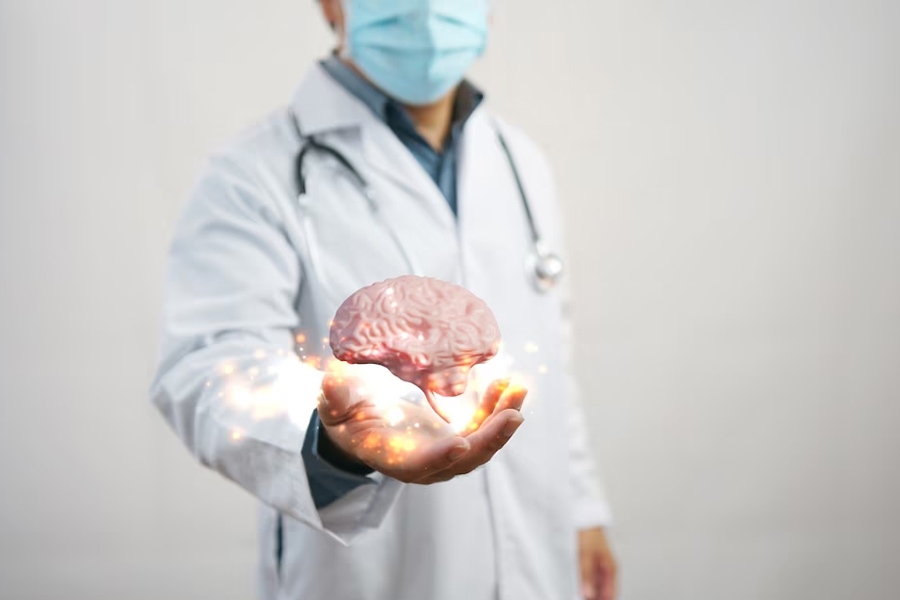brain