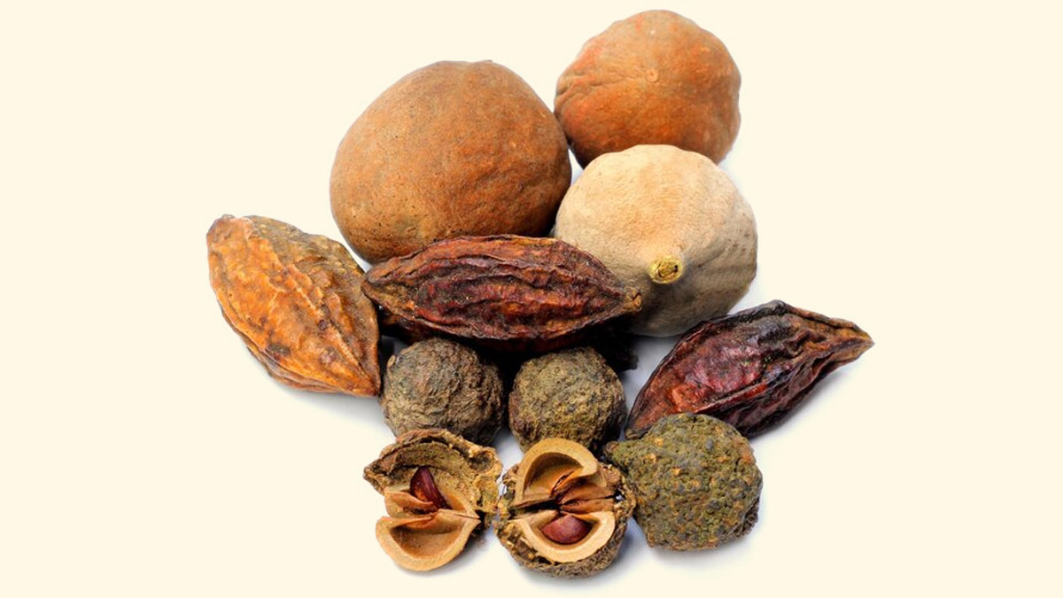 triphala