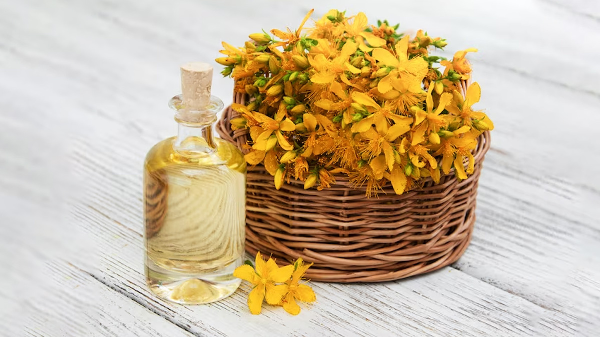 Benefits-of-Safflower-Oil-on-Skin-ins2