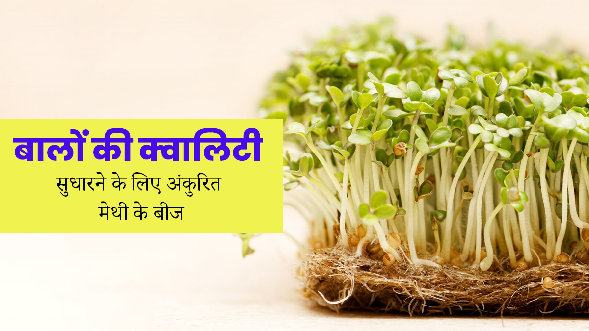 बालों की क्वालिटी सुधारने के लिए फायदेमंद हैं अंकुरित मेथी के बीज, जानें सेवन का सही तरीका और फायदे