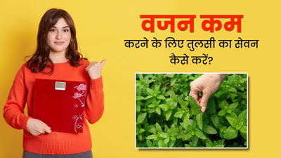 वजन कम करने के लिए इन 4 तरीकों से करें तुलसी का सेवन, तेजी से होगा फैट बर्न 