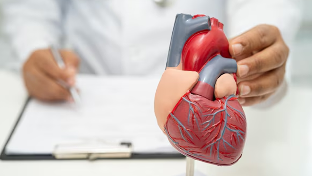 galloping heartbeat causes