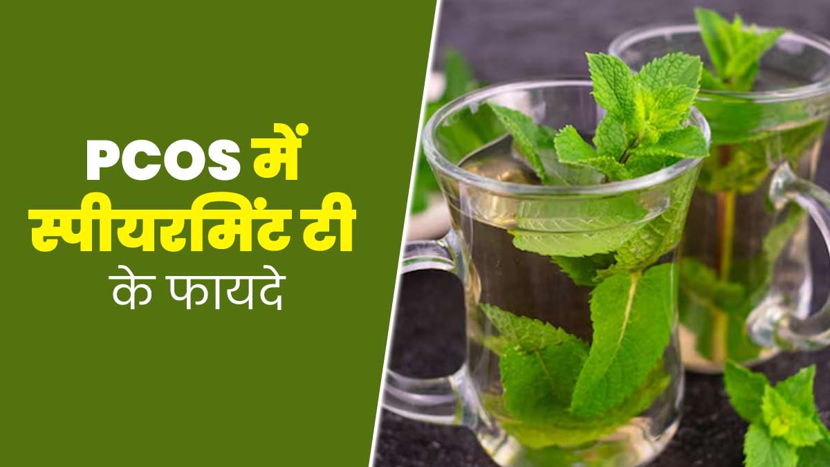 पीसीओएस में Spearmint Tea पीने से मिलते हैं ये 5 फायदे, जानें इसकी रेसिपी