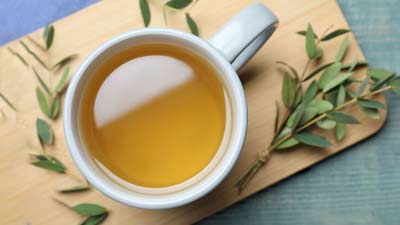 नीलग‍िरी की चाय सेहत के ल‍िए क‍ितनी फायदेमंद होती है? जानें इसके फायदे और नुकसान 