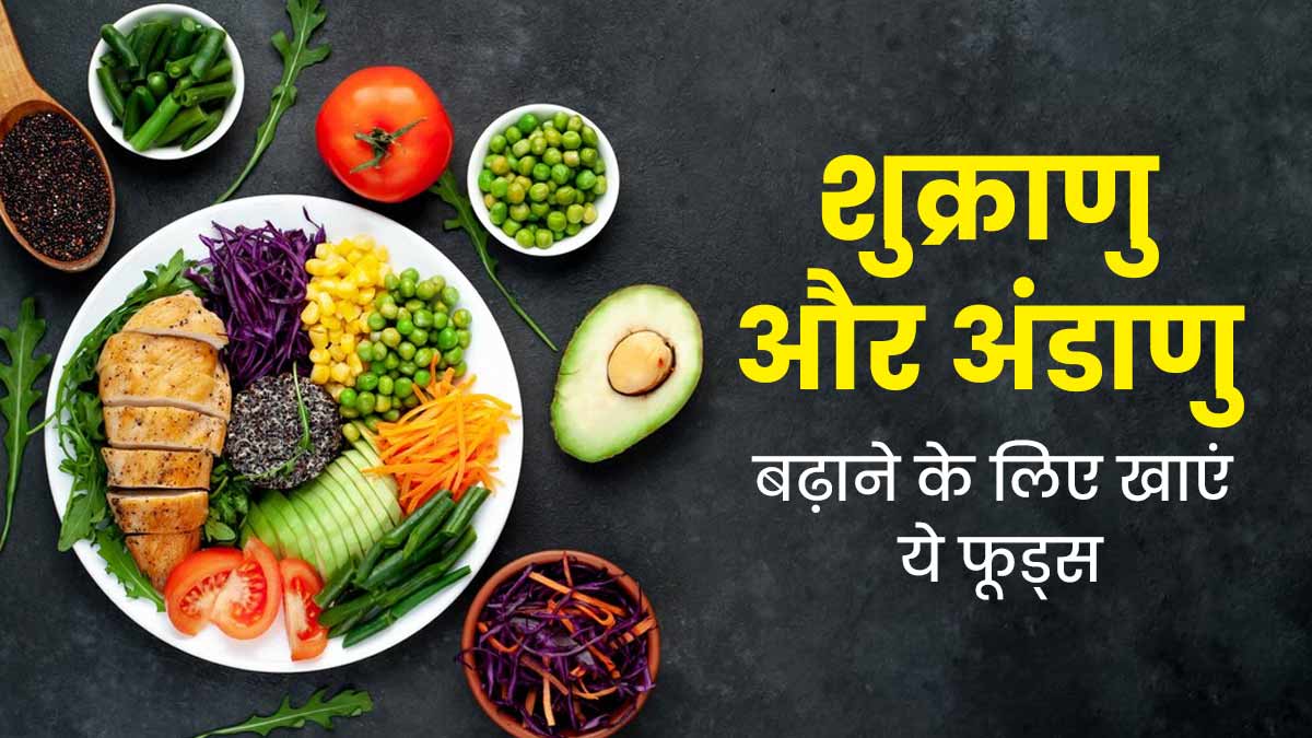 शुक्राणु और अंडे की गुणवत्ता बढ़ाने के लिए डाइट में शामिल करें ये 6 फूड्स, फर्टिलिटी में होगा सुधार