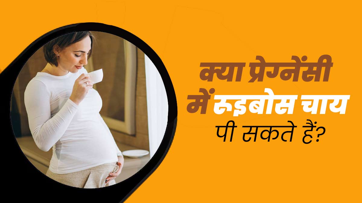 Rooibos Tea: क्या प्रेग्नेंसी में रूइबोस चाय पी सकते हैं? एक्सपर्ट से जानें फायदे-नुकसान 