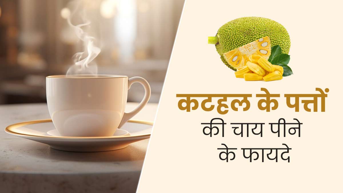 कटहल के पत्तों की चाय पीने से सेहत को मिलते हैं ये 4 फायदे, जानें बनाने का तरीका