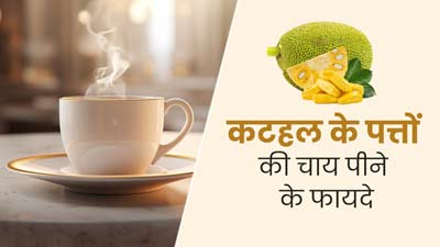कटहल के पत्तों की चाय पीने से सेहत को मिलते हैं ये 4 फायदे, जानें बनाने का तरीका