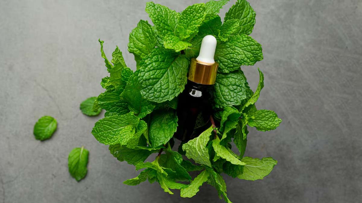 Peppermint Oil For Hair: How Does This Oil Promote Hair Health And How to Use It