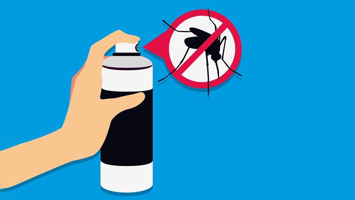Natural Ways to Keep Mosquitoes Away In Monsoon: Try These DIY Mosquito Repellents